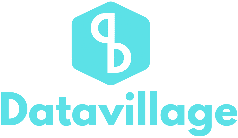 logo datavillage 1